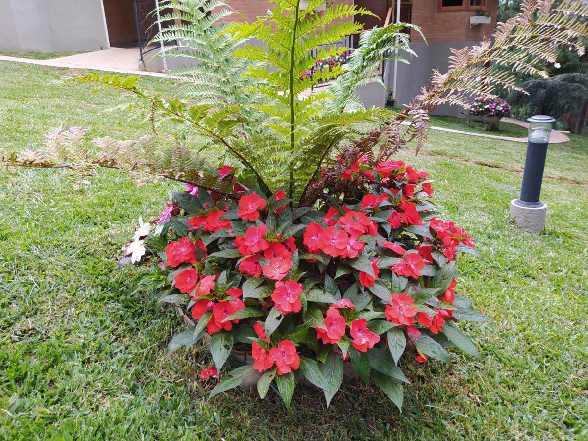 Pousada Alto Dos Pinheiros Villa Monte Verde  Luaran gambar