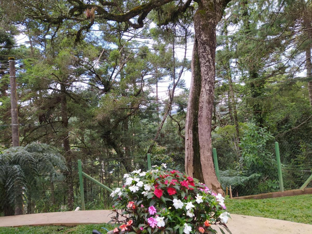 Pousada Alto Dos Pinheiros Villa Monte Verde  Luaran gambar